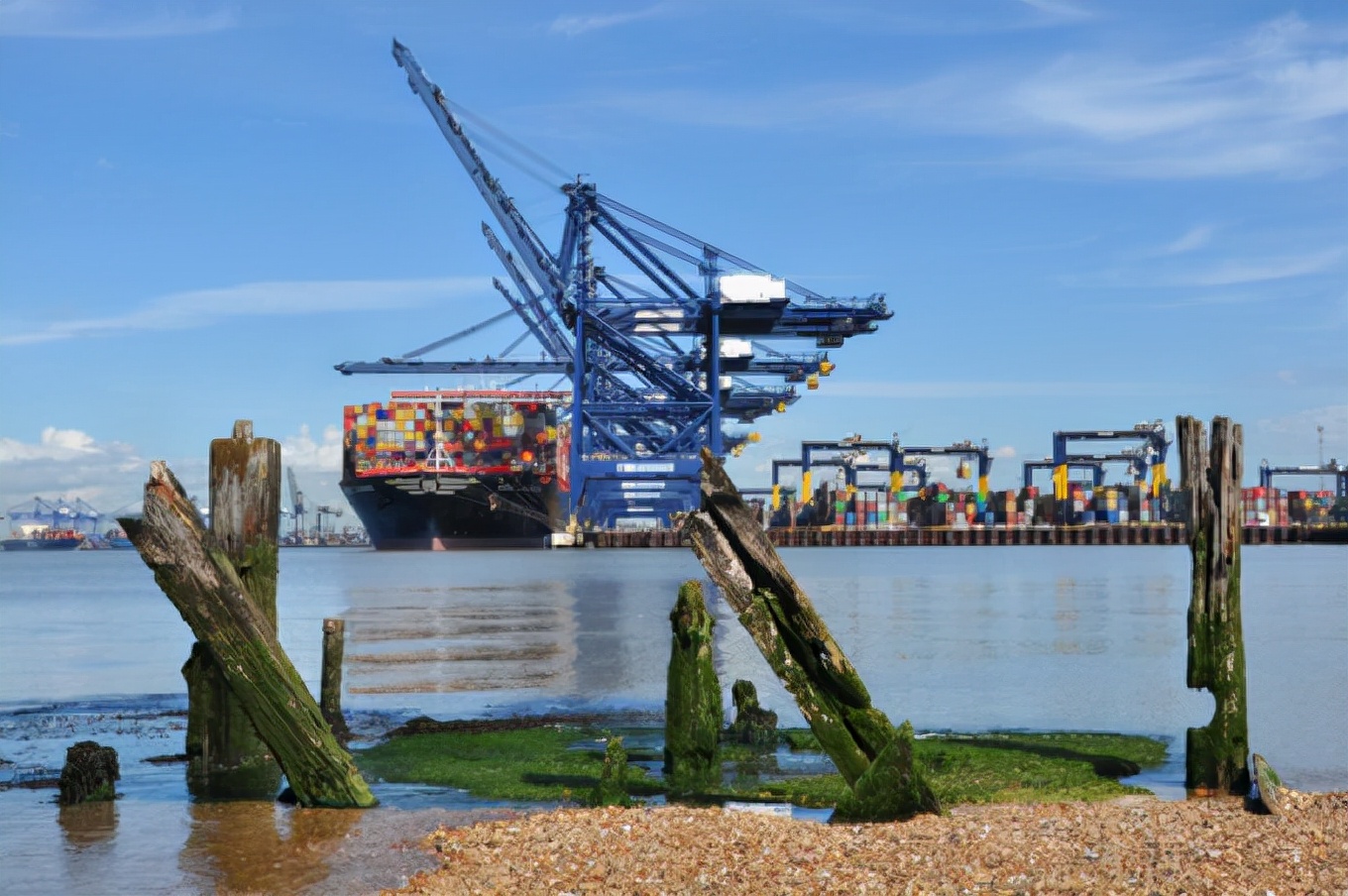 海运价格大幅上涨中远海控,海运涨价国际新闻