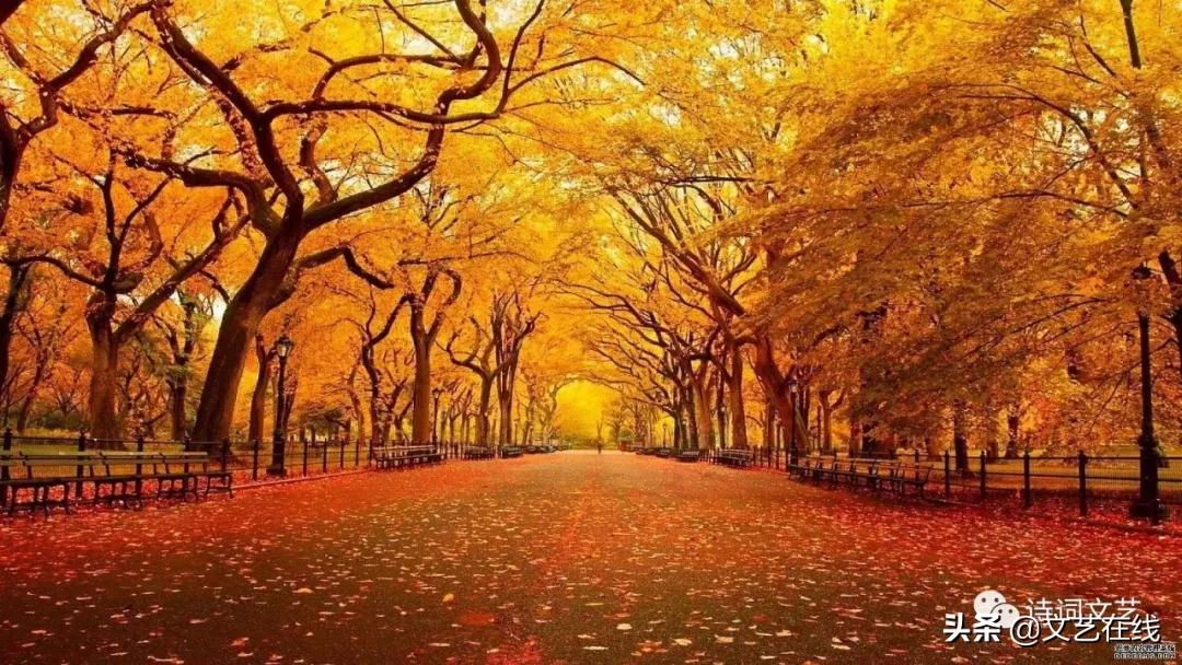 金谷诗社第二期社课作品“落叶”展播