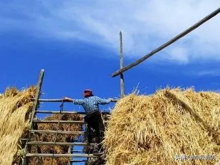 堆垛火灾安全提示,火灾危险性及消防安全措施