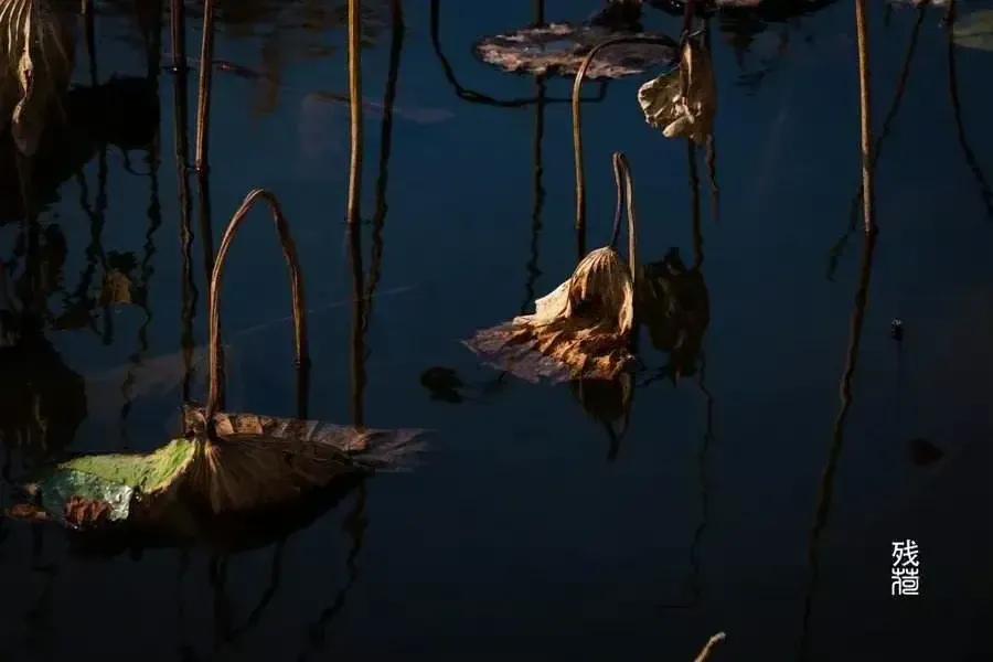 城市生活手机游戏,城市生活