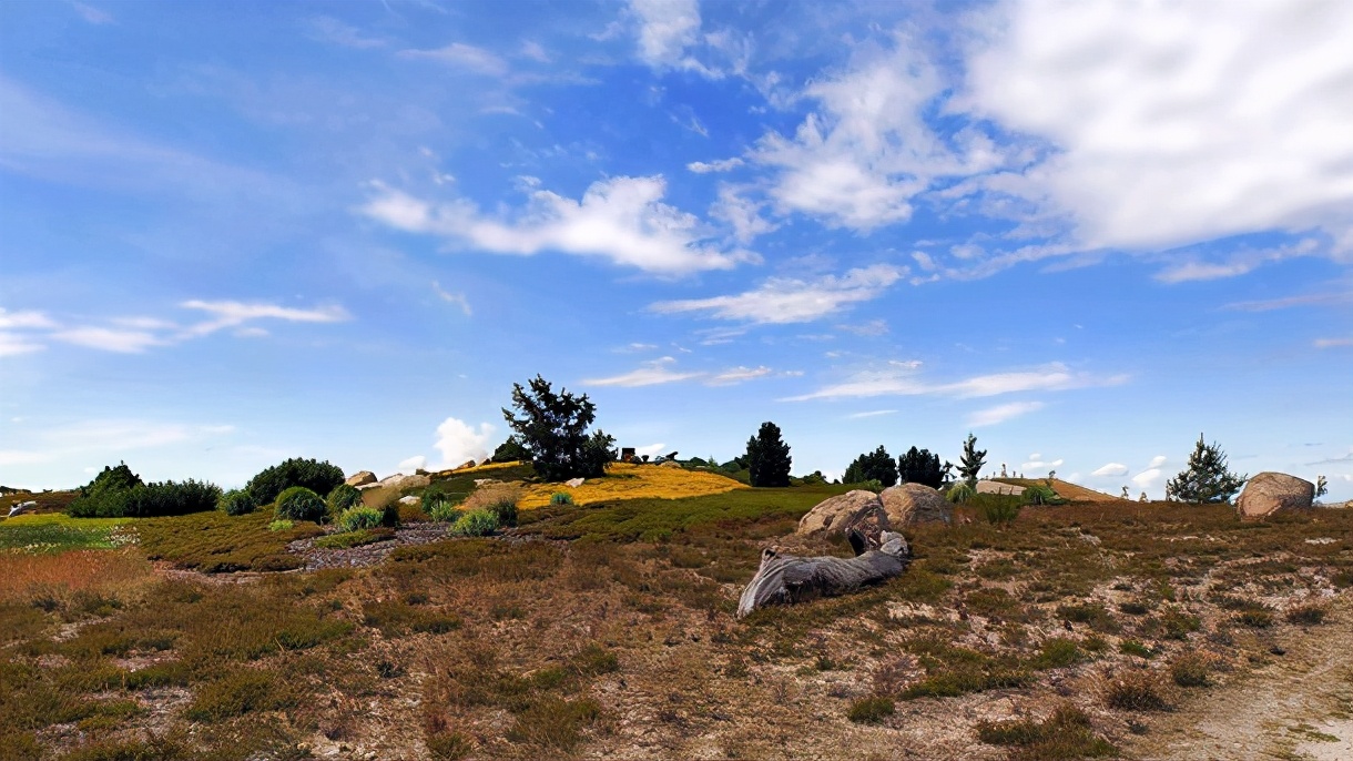 带弘字风华绝代的女孩名字，清新脱俗