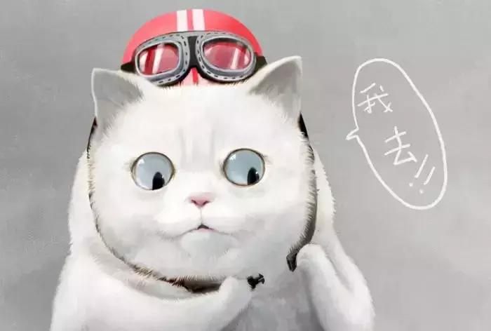 90斤的脸160斤的身材采访,90斤的脸120斤的身材看过来