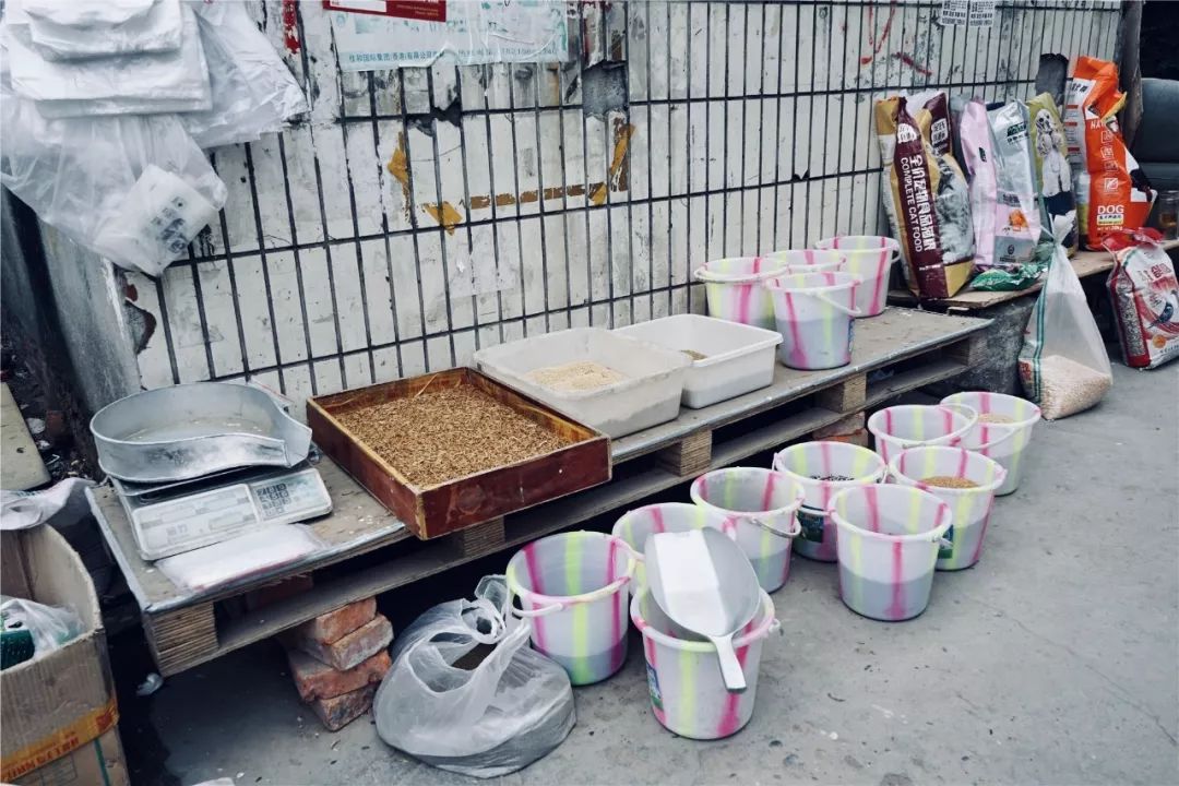 成都黄田坝鸟市在哪里,成都黄田坝鸟市