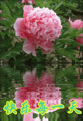 早上好最新祝福语动态表情图片,早上好问候语祝福短句带表情