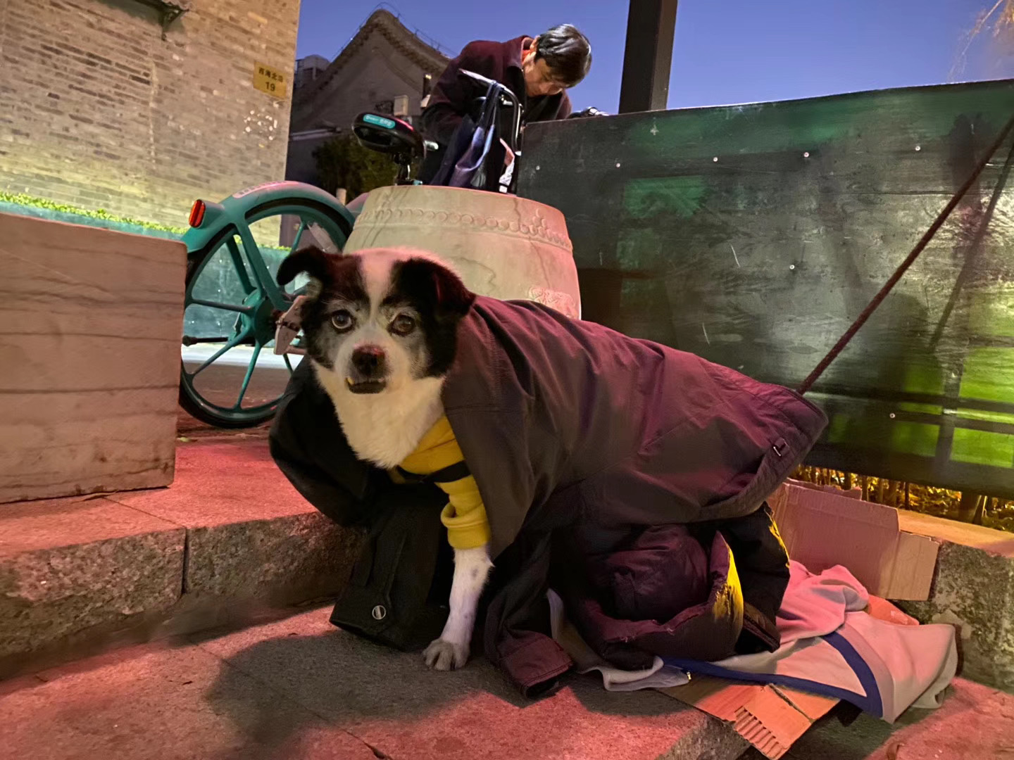 北京休闲的好去处,北京攻略必去的地方后海