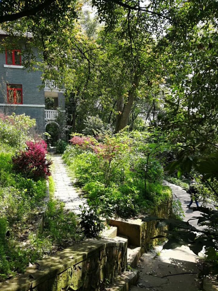 武汉旅游线路攻略图片,武汉攻略经典三日游