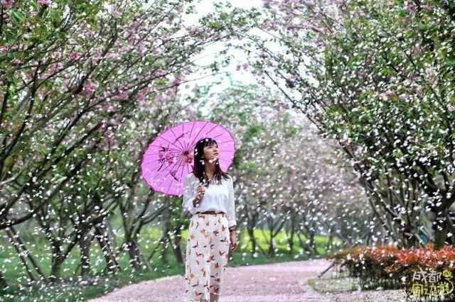 半个月后成都即将美翻全国，17处美景玩转整个春天！