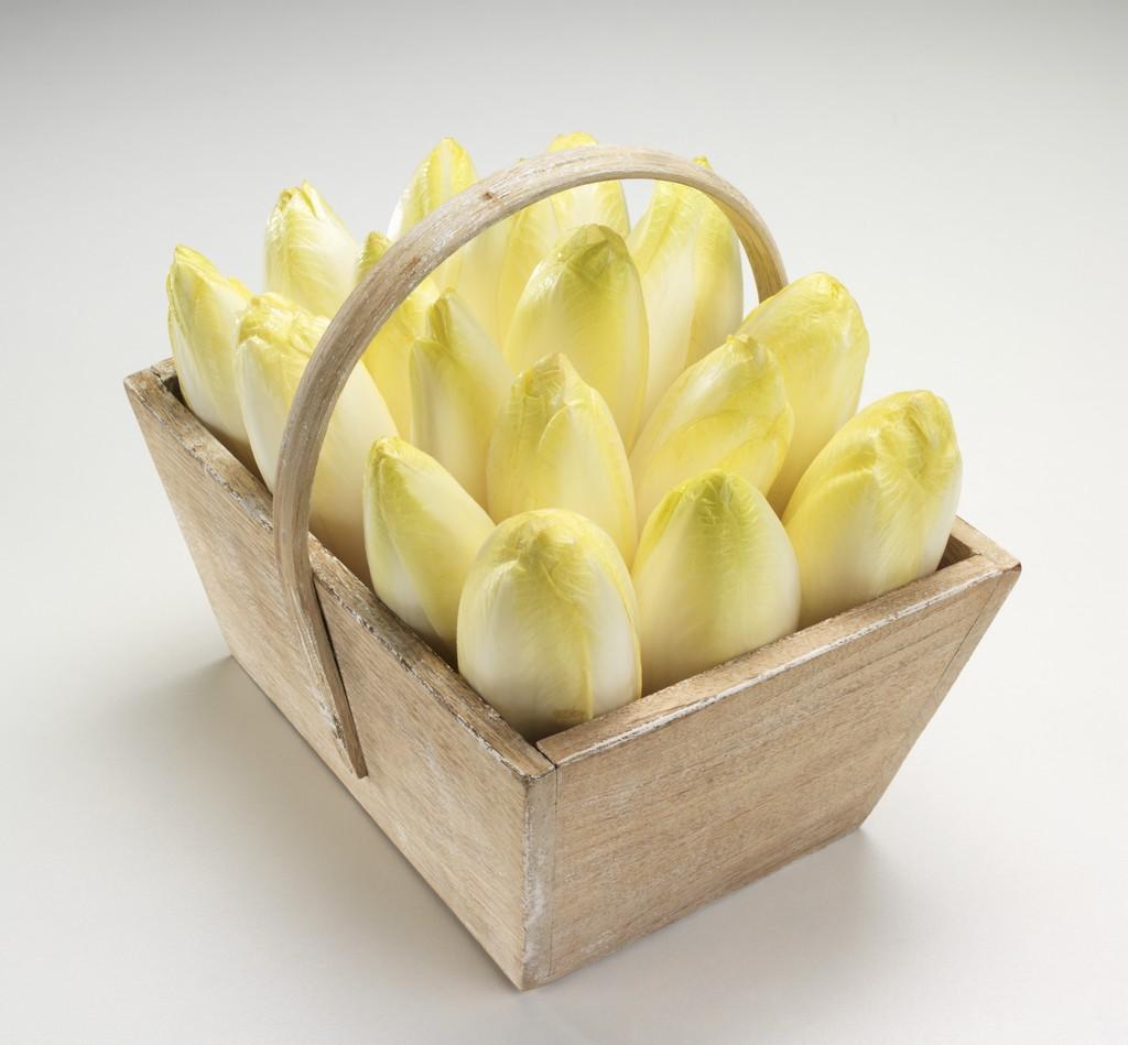 小伙5亩菊苣当牧草，1次种植生长15年，全程无光处理变成蔬菜