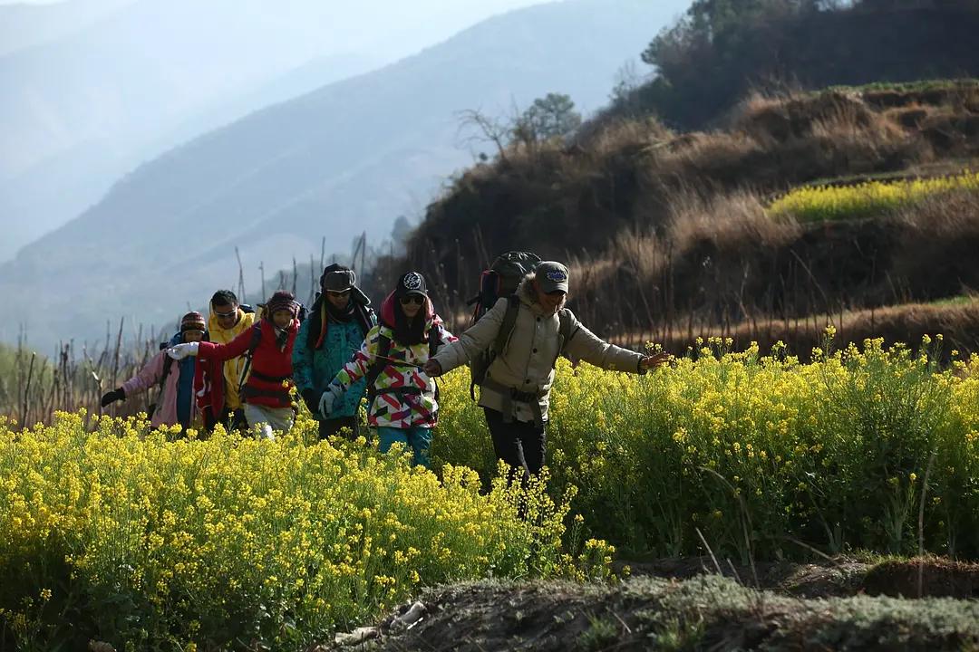 八年已过,北京青年为什么那么多人喜欢