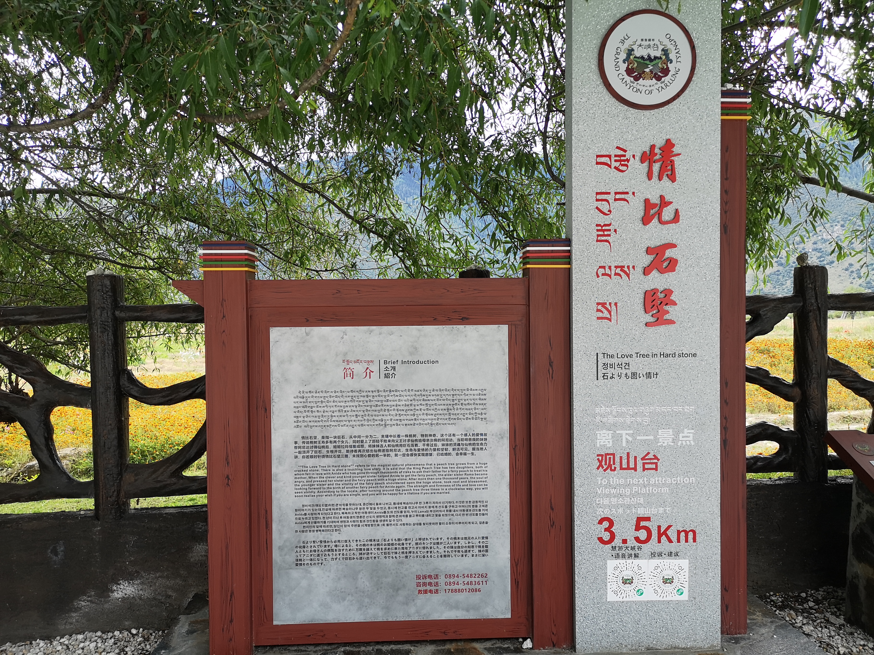 原来西藏的美景在藏西,去一趟西藏吧