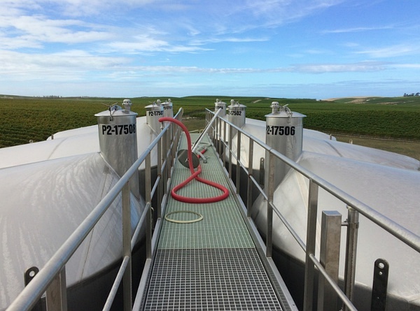 在新西兰果园工作累吗,在新西兰酿造葡萄酒