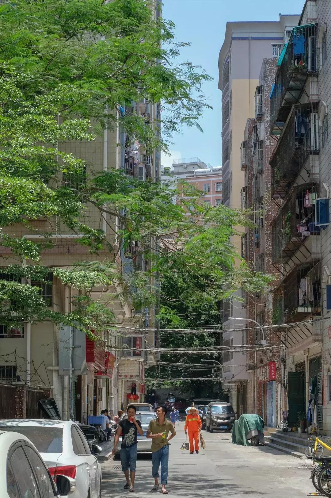 这里是观澜,下一站民治