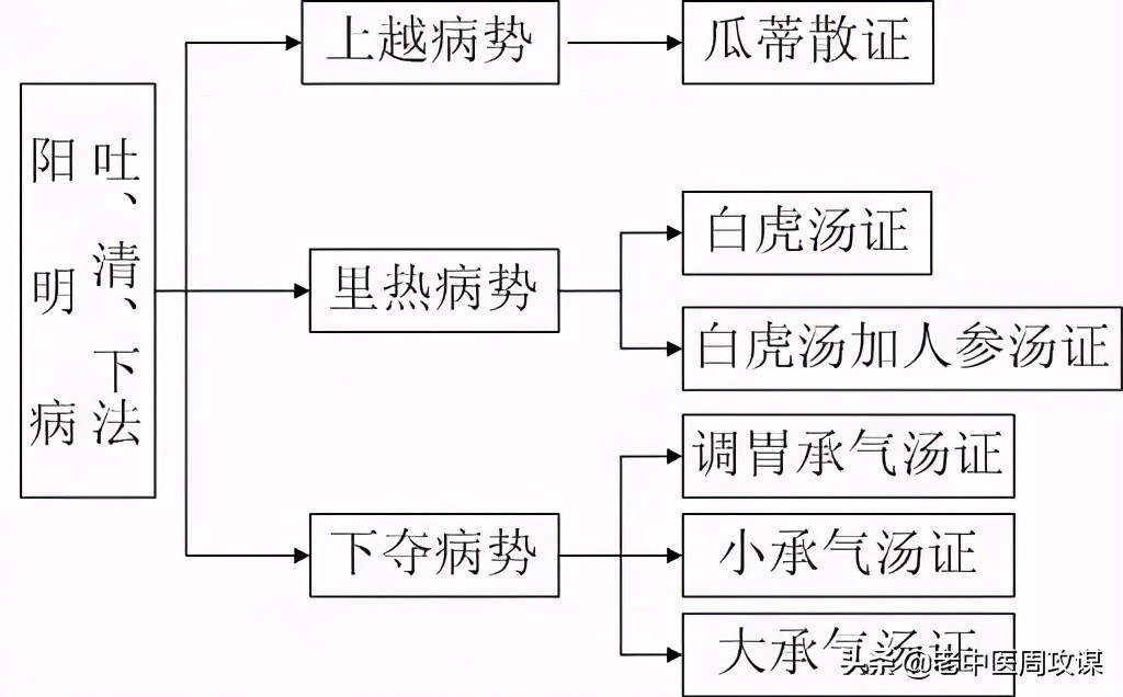 六经辨证治法,六经辨证教学视频