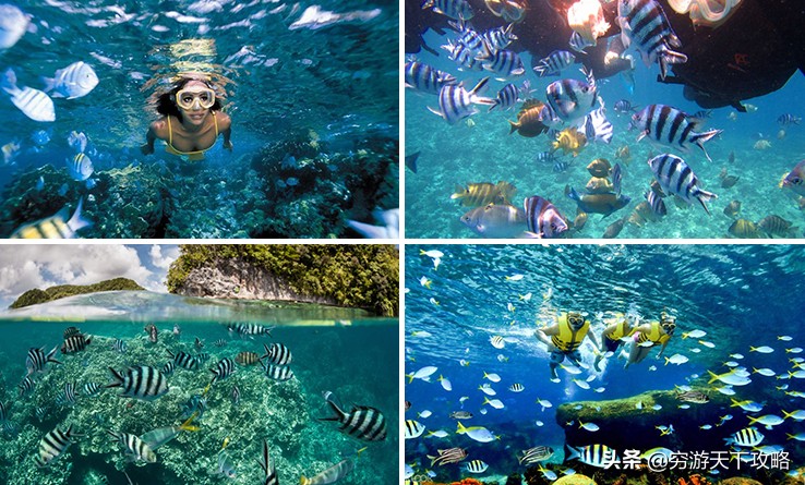 坎昆游记加勒比海,加勒比海坎昆旅游攻略