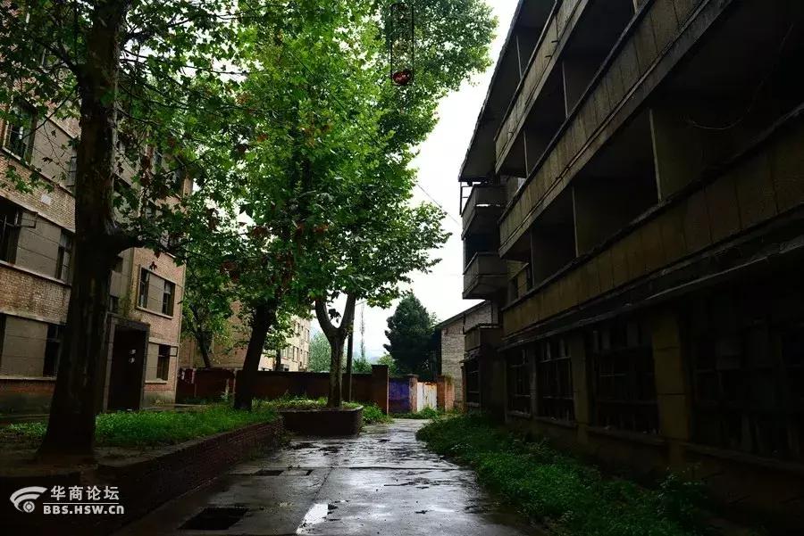 风雷仪表厂现在怎么样了,风雷仪表公司怎么样