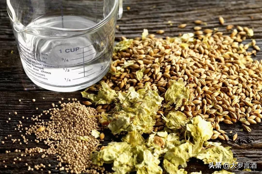 黑啤不醉人,黑啤不痛风