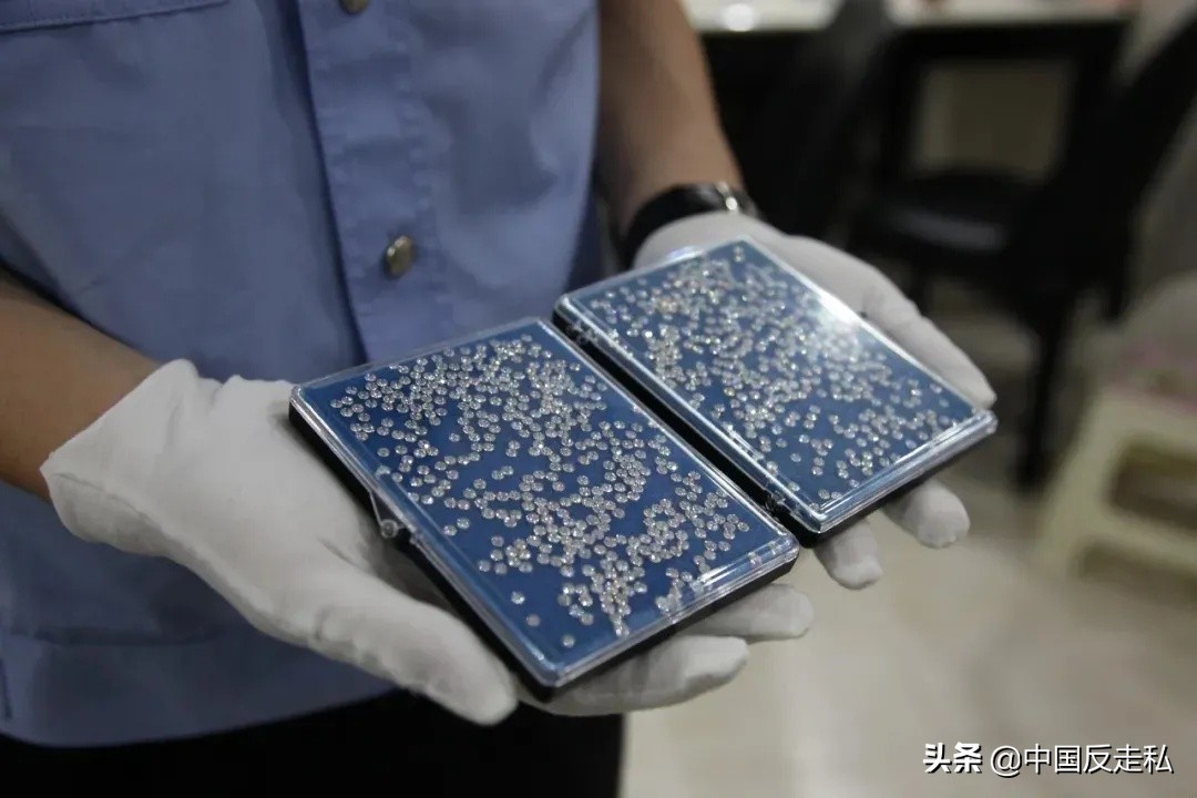 中国海关缉私案件2020,国门利剑2019十大案件