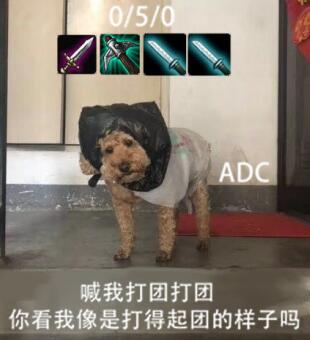 lol9.21,lol9.20号为啥进不去游戏