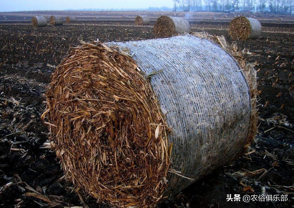 烧秸秆禁令原视频,秸秆禁烧禁抛的通告