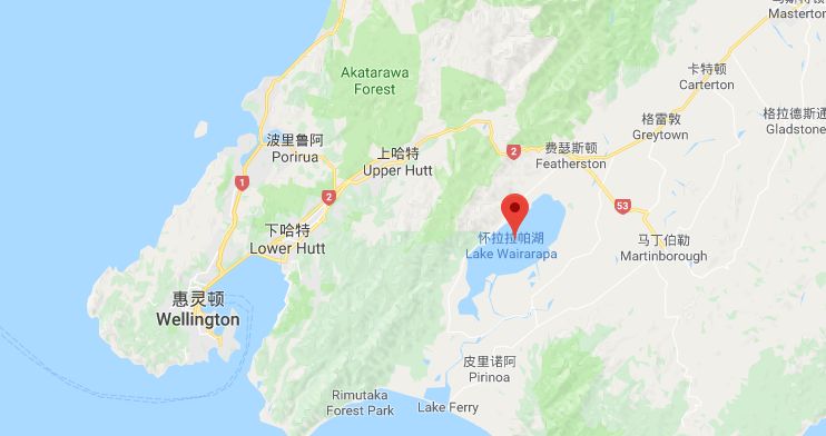 看了新西兰的这些酒庄和美食，让人蠢蠢欲动