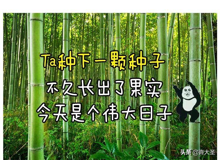 沙雕礼物推荐,新年玩点不一样