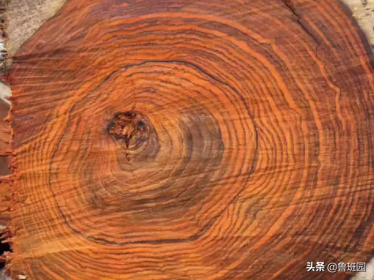 各种木头酸枝图片,酸枝是什么木