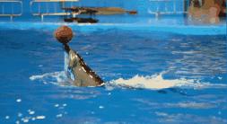 暑假余额已不足该注意什么,暑假余额即将不足