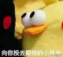 广州交通大学拨款筹建,投资100亿广州交通大学