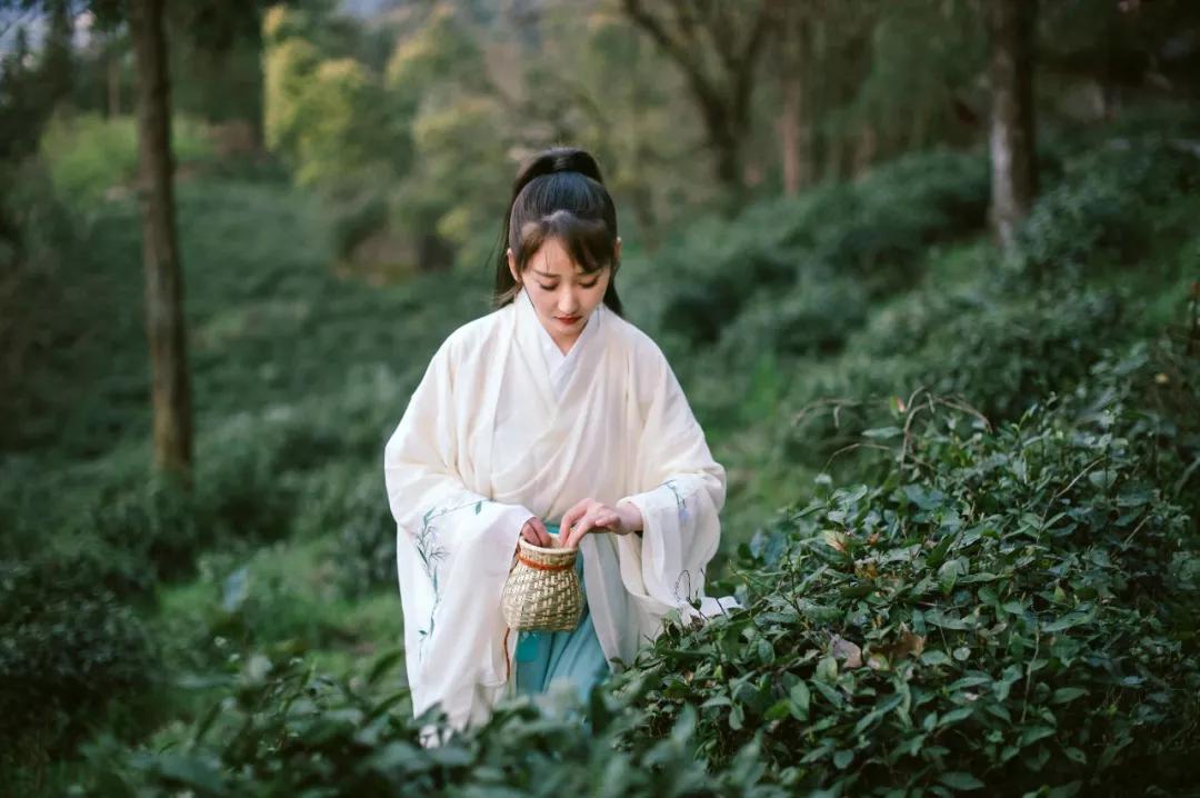 山顶云海自驾游,云海日出露营自驾游攻略