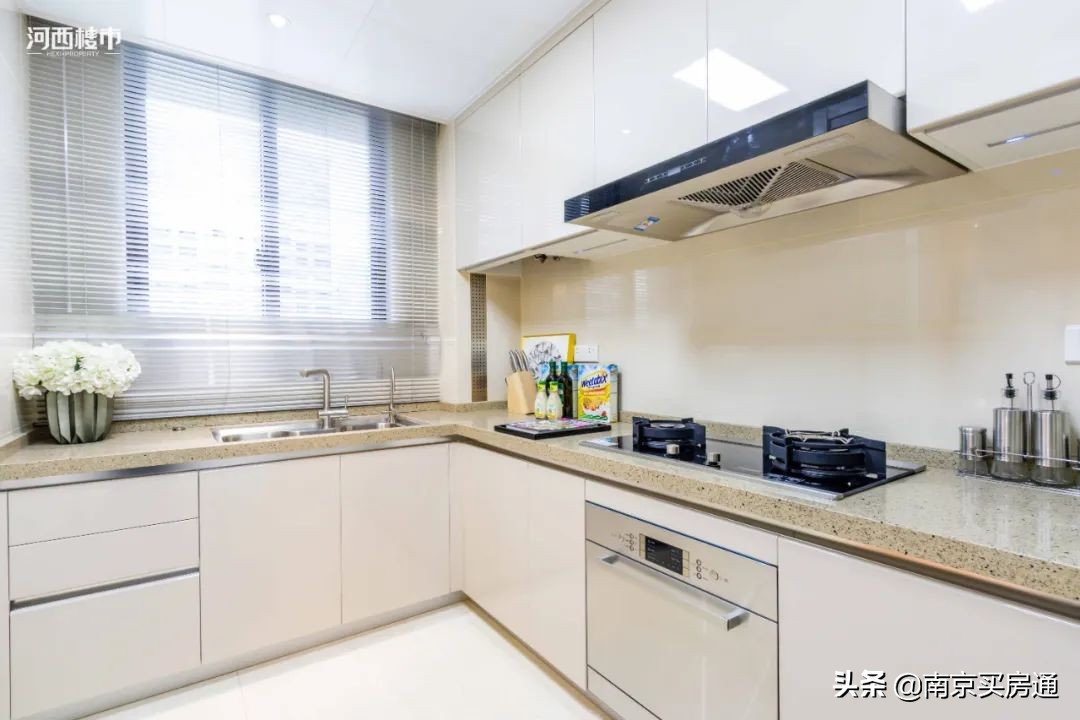 河西中新豪宅全景图,河西中心豪宅内部图片