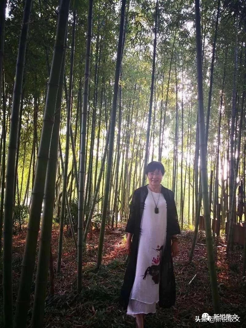 荷叶、苇根、茶,博斯腾湖的礼物把唇齿的味蕾搅得乱英纷飞