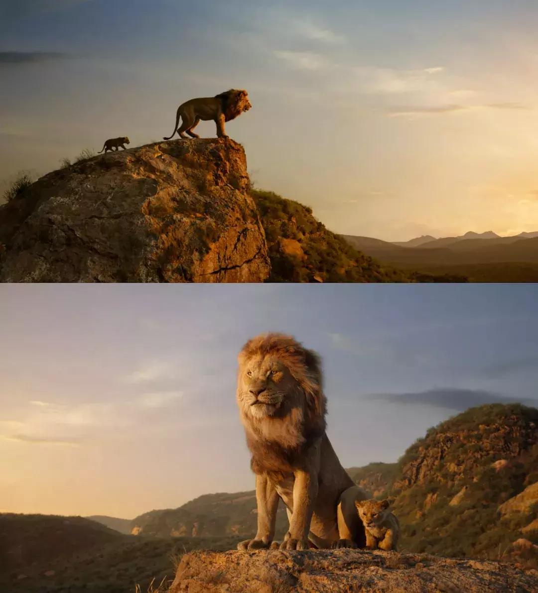 迪士尼狮子王,狮子王是迪士尼还是梦工厂