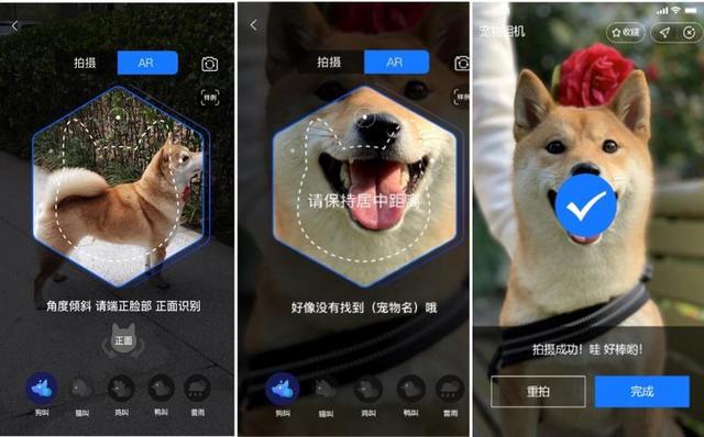 支付宝宠物保险真的有用吗,支付宝宠物鼻纹识别平台