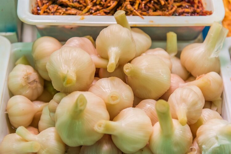 关于癌症你不可不知的7大谣言,癌症五大谣言你信了吗