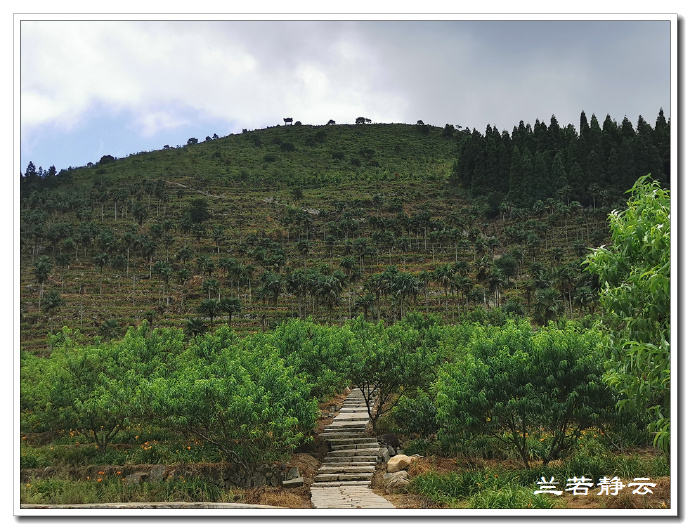 福建永泰云顶山风景图片,福州永泰云顶风景如画成避暑胜地