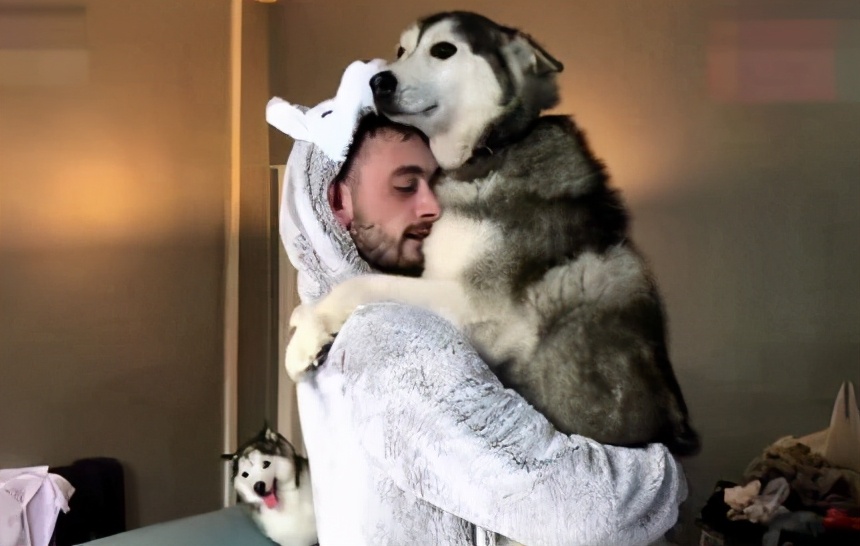 盘点那些“粘人精”的狗狗，上厕所也不放过你