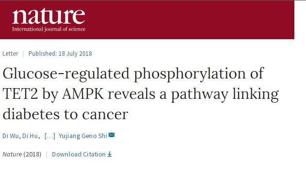 乳腺癌15种锻炼方法,断食或能阻挡乳腺癌发展
