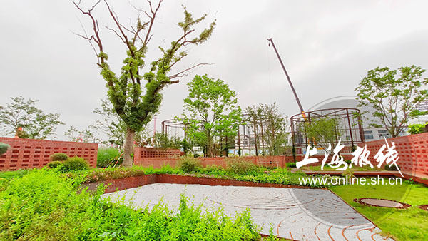 杨浦最新网红打卡,上海杨浦区网红打卡