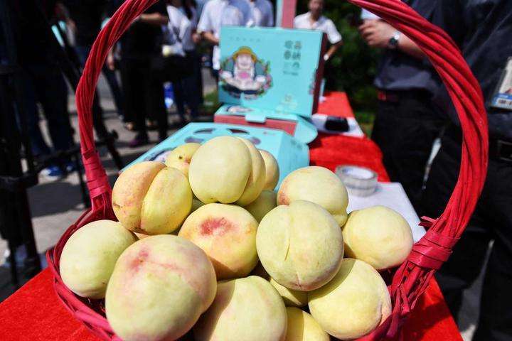 美国水果价格排行,美国水果价格大全