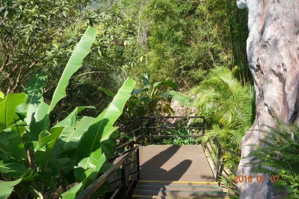 海南呀诺达热带雨林,呀诺达热带雨林景区