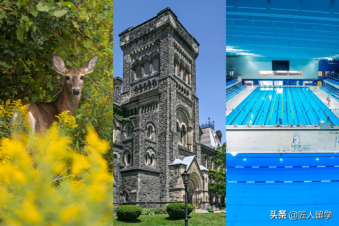 多伦多大学哪个校区适合你？快速了解每一个独特之处