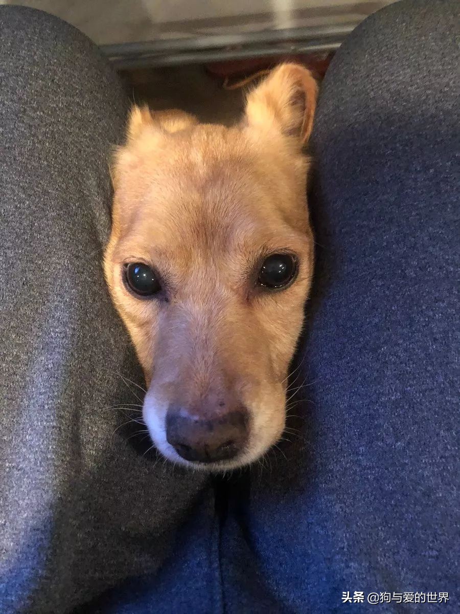 鏅氫笂瀹堕噷杩涗簡涓嶆槑鐢熺墿,鐢峰瓙鍗婂鍥炲閬囦笂涓嶆槑鐢熺墿