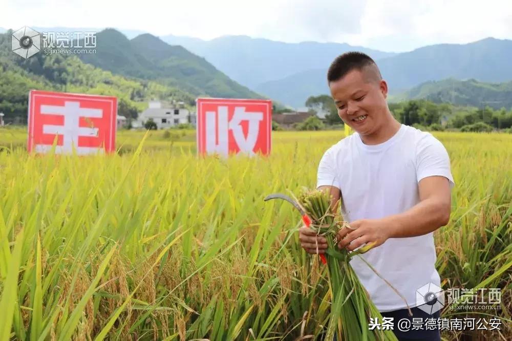 深度剖析江西老表！这位副省级领导的雄文，曾刷屏10w+！如今再推巨著……