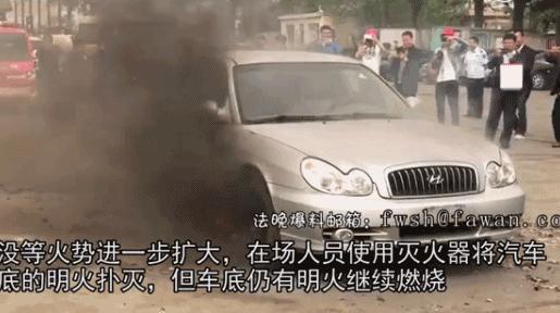 柳絮杨絮导致眼睛过敏鼻子难受,柳絮满天飞过敏流鼻涕