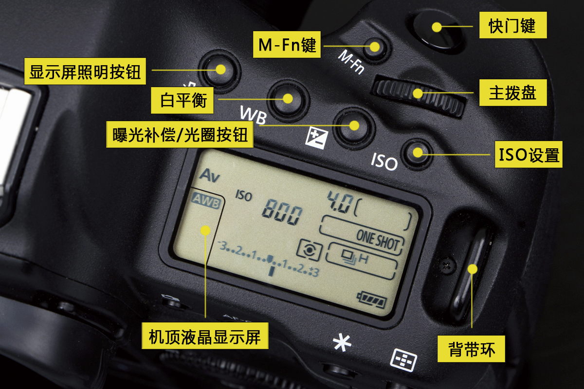 佳能相机推荐新手入门最新款,佳能70d相机入门教程全集视频