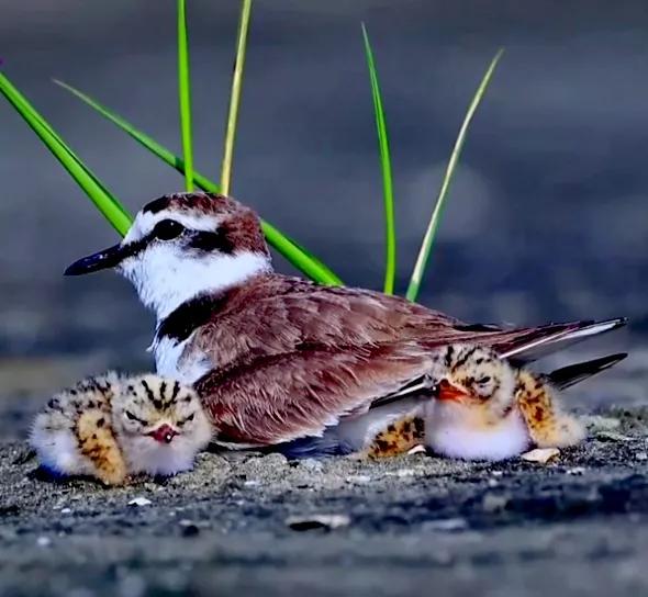 太极札记96,太极札记62