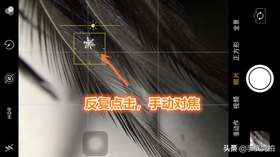 手机拍摄雪花的正确方法,手机拍雪花微距