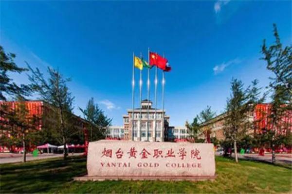 山东最好的正规专科大学排名前十,山东即将升本的专科大学排名