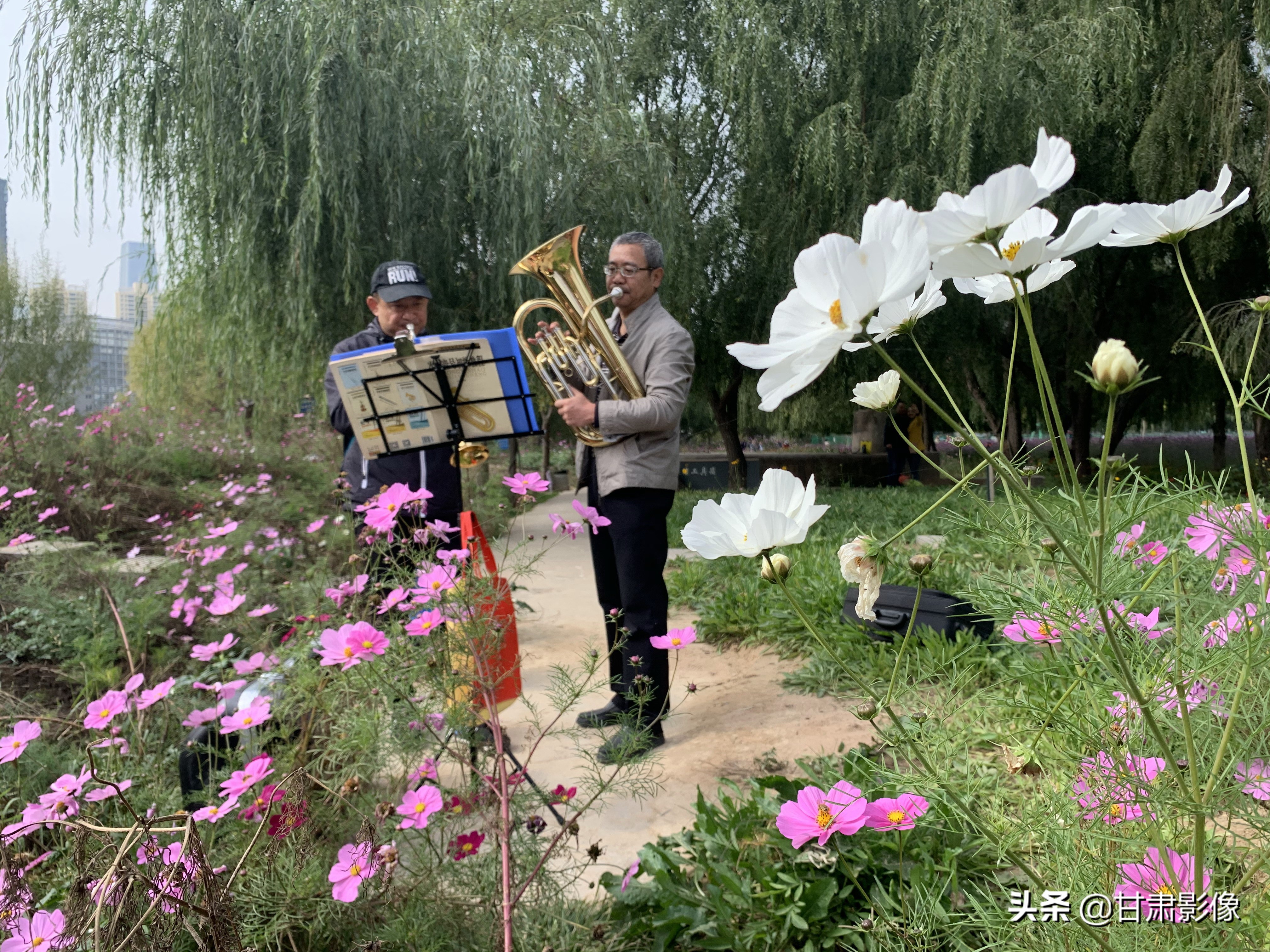 告别2021年的夏天手机摄影,简单手机摄影2020不平凡的一年