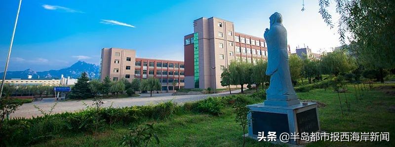 西海岸新区民办小学,西海岸新区公办学校学费